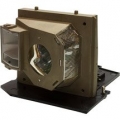 Lampa pentru videoproiector Optoma TH1020, modul